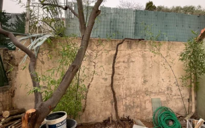 Que faire si mon voisin empiète sur ma propriété ?