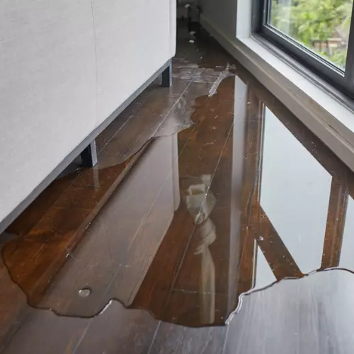 dégât des eaux dégât des eaux