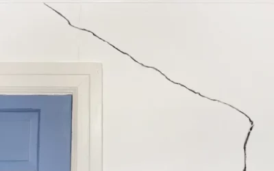 Vente immobilière : comment éviter un recours pour vices apparents ?